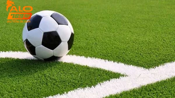 Các hình thức và cách thức tham gia bóng cỏ