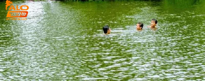 Ứng dụng giấc mơ mơ thấy lội sông trong cá cược trực tuyến tại Alo789