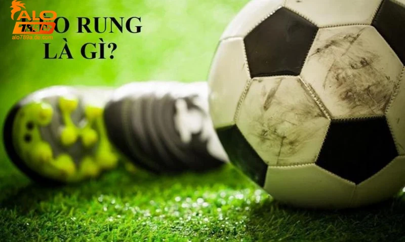 Hướng dẫn chơi và lưu ý khi tham gia kèo rung