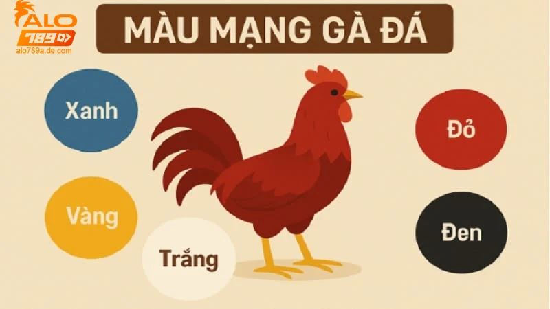 Ứng dụng màu mạng gà đá trong cá cược tại Alo789