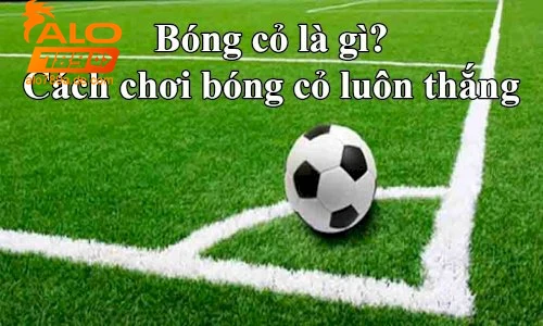 Bóng cỏ là gì - Hướng dẫn tham gia bóng cỏ an toàn và hiệu quả