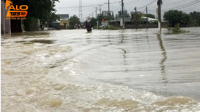 Tham khảo tin tức mới nhất về cá cược và giấc mơ