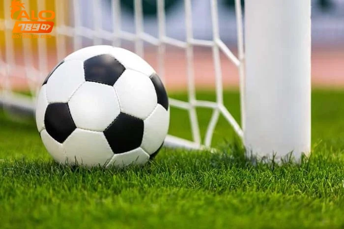 Định nghĩa cơ bản về bóng cỏ