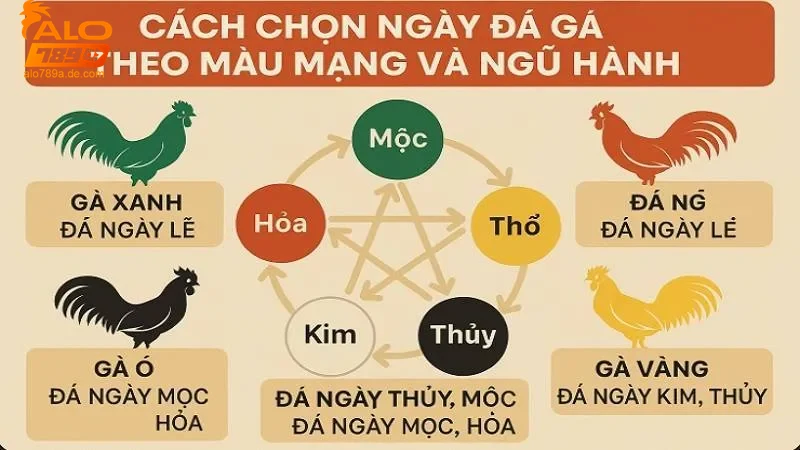 Khám phá ý nghĩa và ứng dụng màu mạng gà đá hiệu quả 4 Ý nghĩa từng màu mạng trong gà đá